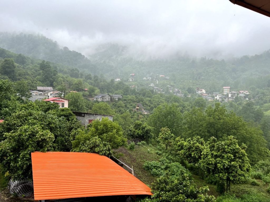 پنت جنگلی گوهر